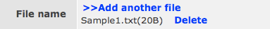 file name