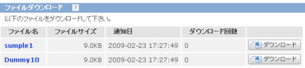 メールアドレスの入力を求められる場合のファイルダウンロード:正しいメールアドレスを入力した場合